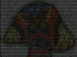 LopendePaddo