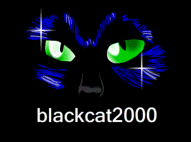 blackcat2000