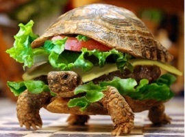 frozenburger