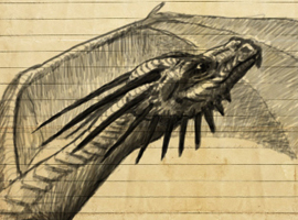 EchoRun