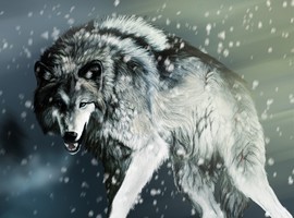 MichaelGrayWolf
