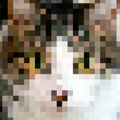 Skaren