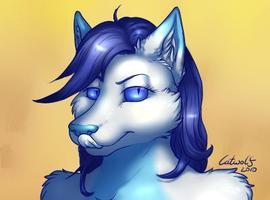 fuzzum111