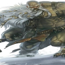 Nebelfalke
