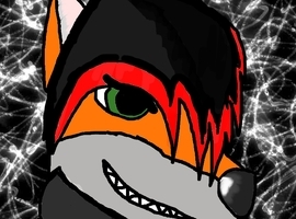 Killercat55