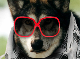 wulfsok