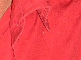 alexandrion