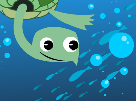 turtleco