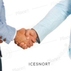 Insector