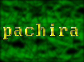 Pachira