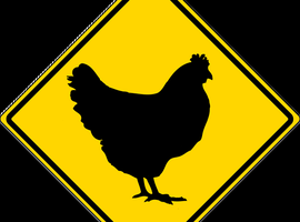 Randagio