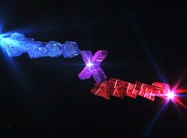 PsycoKillerX