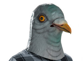KalebKore