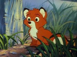 StormFox