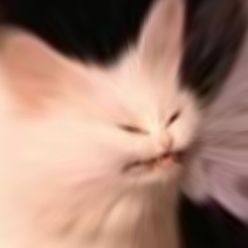 GrayOokami