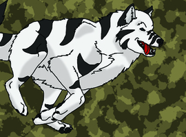 Tygerwolfe