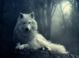 theonlywhitewolf