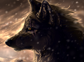 TrueWolf123