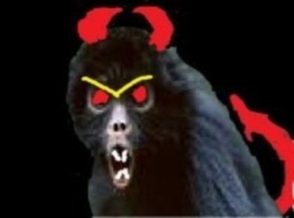 mmonkey22
