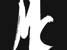 S313