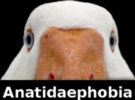 BatmanRooster