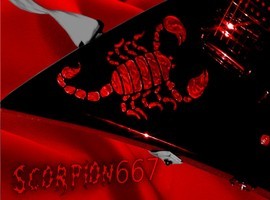 Scorpion667