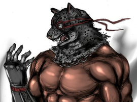 ArmorKing6X