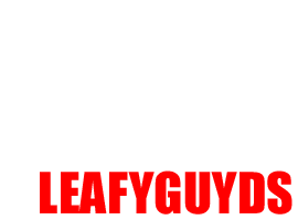 LeafyguyDS