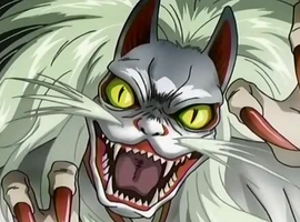chiroptikitty