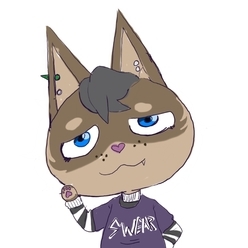 foxkidXD