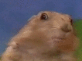 CrazedChipmunk