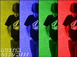 austingebow