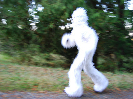 Albinobigfoot