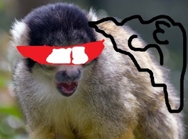 suprmonkey