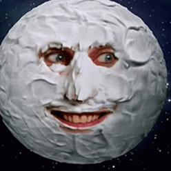 BouncyPiglett