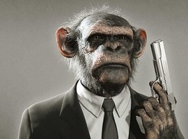 XMONKE