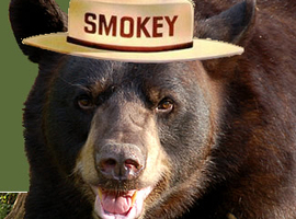 SmokeyTehBear