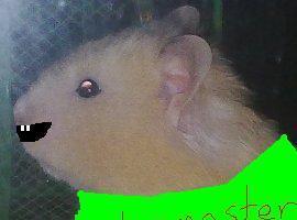 chiamonster2