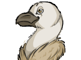 W-Feather