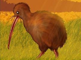 Kiwi117