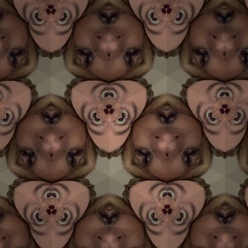 JibbLeRz