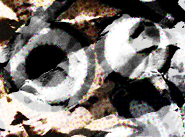 funeffect