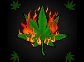 MrStoned