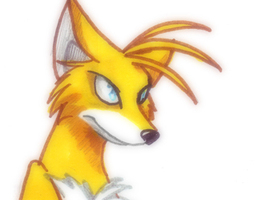 awesomefox