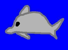 BigDolphin