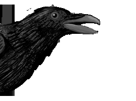 dasRabenkind