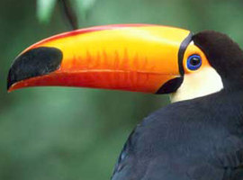 Tonathan123