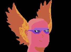 donnierisk