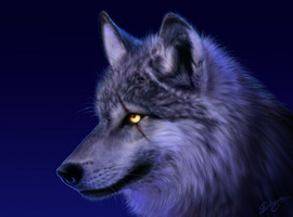 CodeWolfe