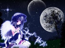 NocturnalSiren